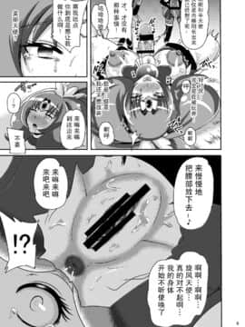 [紫苑汉化组] [アクオチスキー教室 (アクオチスキー先生)] サニー暗黒変態03 (スマイルプリキュア!) [DL版]_08