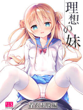 [绅士仓库汉化] [INS-mode (天凪青磁)] 理想の妹 着衣素股編 [DL版]