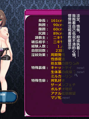 [这很恶堕汉化组][悪魔都市計画 (あくまっこ、トシぞー)] 寝取られ異世界転移『変わっていく彼女をブラウザで見ていることしかできない』_166_165_
