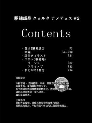 [不咕鸟汉化组] [下り坂ガードレール (しらそ)] 駆錬輝晶 クォルタ アメテュス #2 [DL版]_02