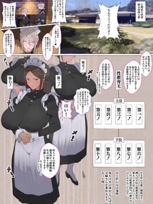 [愛国者 (アゴビッチ姉さん)] このお屋敷の坊ちゃまは…男に飢えたメイド達に搾られている!! 働くお姉さん達 メイドのお姉さん達_007_06