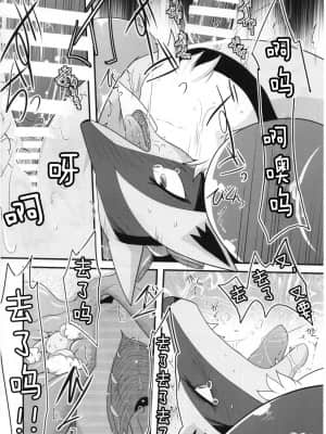 [悬赏大厅x新桥月白日语社汉化] (けもケット8) [BLACK FANG (両谷哉)] 屡の洞窟 (ポケットモンスター)_25_25