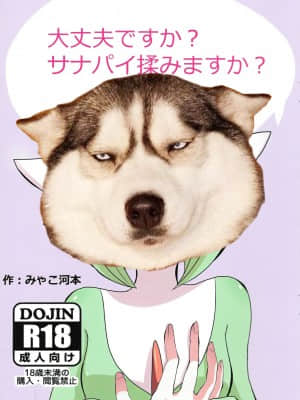 [胸垫汉化组] (新春けもケット3) [おさかなぱっきんぐ (みゃこ河本)] 大丈夫ですか? サナパイ揉みますか? (ポケットモンスター)_00000017