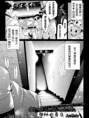 [Sans个人汉化] (関西! けもケット3) [みぞね動物園 (みぞね)] あやしいお店。 (あぶまん一つください!) (ポケットモンスター)_964958_00000002