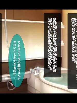 (同人CG集) [スタジオ山ロマン (陽州)] オナネタの義母さんがデリヘル嬢なのでオレは指名しまくることにした_012__010