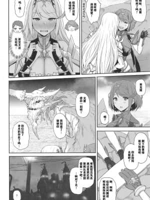 (COMIC1☆15) [ごむはち (ゴム)] 君と過ごす新たな世界 (ゼノブレイド2)[中国翻訳]_03