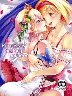 [路过的骑士汉化组] (C95) [Memoria (ティルム)] Princess is Seeking Unknown (グランブルーファンタジー)
