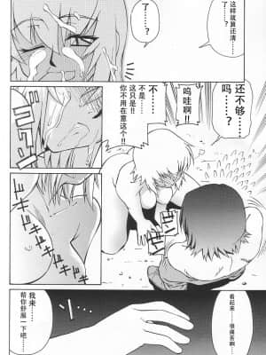 [风油精汉化组] (C65) [GOLD RUSH (鈴木あどれす)] Emotion (喜) (機動戦士ガンダムSEED)_09