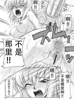 [风油精汉化组] (C65) [GOLD RUSH (鈴木あどれす)] Emotion (喜) (機動戦士ガンダムSEED)_17