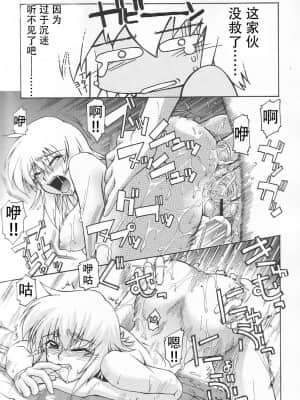 [风油精汉化组] (C65) [GOLD RUSH (鈴木あどれす)] Emotion (喜) (機動戦士ガンダムSEED)_18