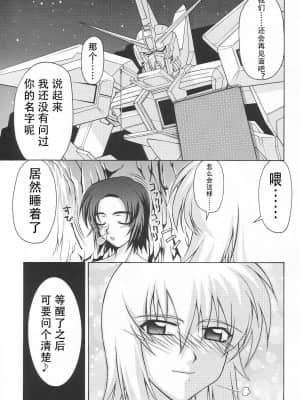 [风油精汉化组] (C65) [GOLD RUSH (鈴木あどれす)] Emotion (喜) (機動戦士ガンダムSEED)_23