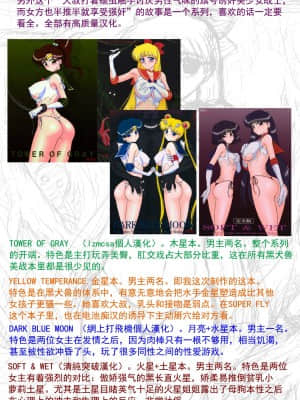 (C80) [BLACK DOG (黒犬獣)] YELLOW TEMPERANCE (美少女戦士セーラームーン) [退魔大叔极致精译]_098
