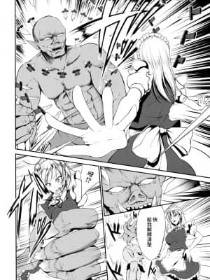 [最爱福瑞汉化组] (C90) [らふれしあ (キャンベル議長)] 侵入者 (東方Project)_05