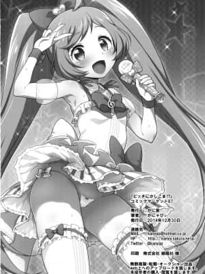 [脸肿汉化组] (C87) [かに家 (かにゃぴぃ)] ビッチにかしこま！？ (プリパラ)_22