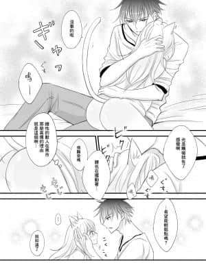 [零食汉化组] [Liry Rain (柚りゆう) ] 発情～子猫を拾った騎士の話～ [DL版]_12