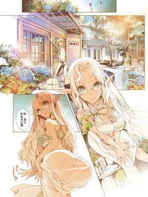 [袁藤沖人] エルフの嫁入り 精靈新嫁娘 [黑条修正][单行本][未来数位中文]_a-006