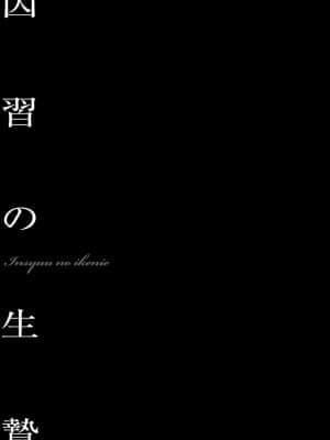 【不可视汉化】 [鬼窪浩久] 美畜淫婦 真理子 [DL版]_005