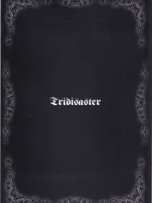 [零食汉化组] (サンクリ56) [Tridisaster (さいだ一明)] 魔睡 (Another)_18