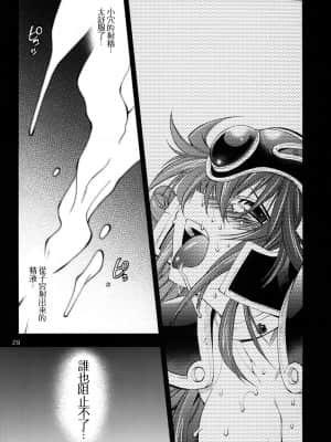 [路过的骑士汉化组] [R2 (らっこ)] 勇者の挑戦状2 猫リセット (ドラゴンクエスト III) [DL版]_28