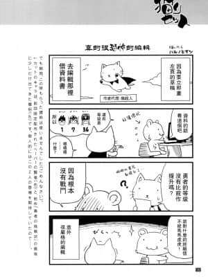 [路过的骑士汉化组] [R2 (らっこ)] 勇者の挑戦状2 猫リセット (ドラゴンクエスト III) [DL版]_29