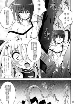 [无毒汉化组] (C77) [夜の勉強会 (ふみひろ)] NF-03 (魔法少女リリカルなのは)_018