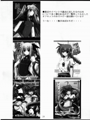 [靴下汉化组] (C75) [夜の勉強会 (明日頼真咲 、ふみひろ)] VH (魔法少女リリカルなのは)_27_0028