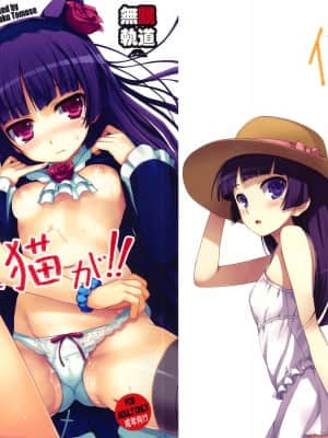 [final個人漢化] (C79) [無限軌道A (トモセシュンサク)] 俺の妹が！黒猫が！！ (俺の妹がこんなに可愛いわけがない)