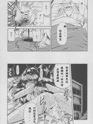 (C49) [サークル太平天国 (堀川悟郎)] 楓の剣 [中国翻訳]_029