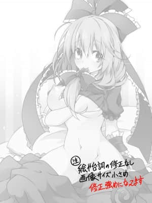 [键山生命汉化组] [コーラーボルト (平国風鈴)] 幸運の女神様 Pixiv版 (東方Project) [DL版]_02