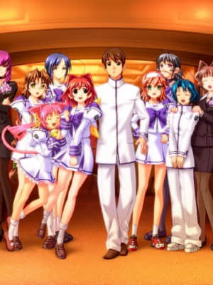 マブラヴ サプリメント(MUV-LUV SUP)_0D07BA6D