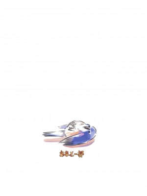 [未名汉化组] (C97) [あまとー部 (セネト)] メイお姉ちゃんだって女の子 (ポケットモンスター ブラック2・ホワイト2)_22