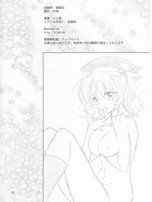 [GABA汉化组] (サンクリ2016 Summer) [PLUM (かん奈)] POWERFUL！LESSON (艦隊これくしょん -艦これ-)_17