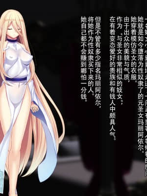 [妄想Caution (ダイアル)] 戦姫バッドエンド外伝 -洗脳敗北したヒロインの末路- [天煌汉化组]_111