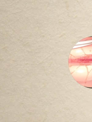 [Lump of Sugar] まどひ白きの神隠し_hev_d06_01