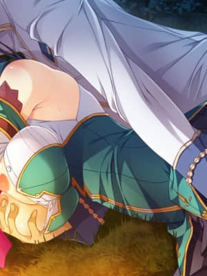 [BaseSon]真・恋姫†英雄譚 １ ～乙女艶乱☆三国志演義［蜀］～_110_e_a1_10f_1