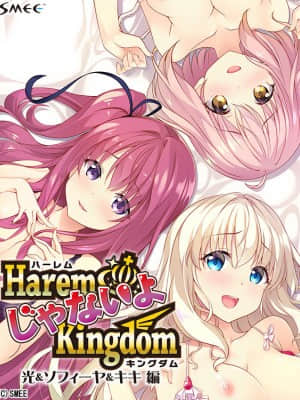 [SMEE] HaremじゃないよKingdom 光&ソフィーヤ&キキ編