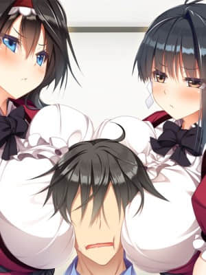 [DESSERT Soft] 彼女（ヒロイン）は友達ですか？恋人ですか？それともトメフレですか？_HG060301