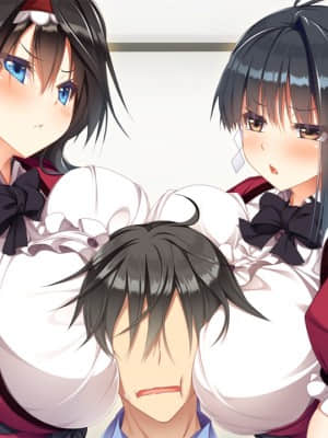 [DESSERT Soft] 彼女（ヒロイン）は友達ですか？恋人ですか？それともトメフレですか？_HG060302