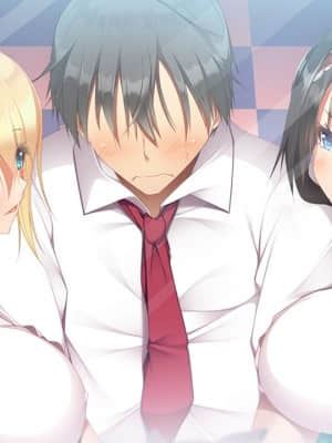 [DESSERT Soft] 彼女（ヒロイン）は友達ですか？恋人ですか？それともトメフレですか？_HG060502