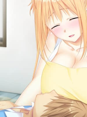 姉×姉!どっちが好き？どっちも!! ～優しいお姉ちゃんとクールなお姉ちゃんに挟まれて僕はもうっ!!～_CYH12ab