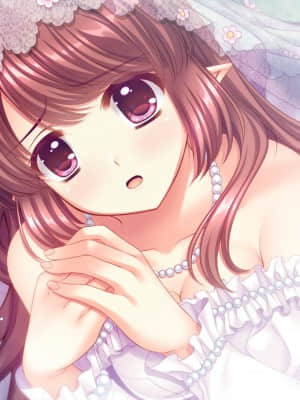 [Navel] Princess×Princess_503_zev_end_01_01