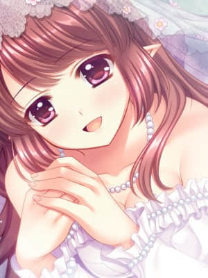 [Navel] Princess×Princess_507_zev_end_01_05