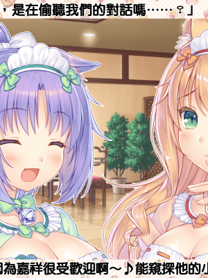 nekopara vol 04_貓娘樂園 (740)