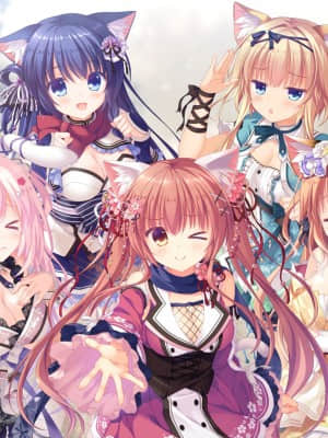 [Whirlpool] 猫忍えくすはーと3_h_all_n_01e