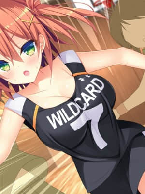 [milimili：AMUSE CRAFT EROTICA] ちんかもツインズ_EV002A