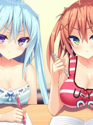 [milimili：AMUSE CRAFT EROTICA] ちんかもツインズ_EV004AF