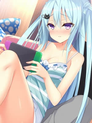 [milimili：AMUSE CRAFT EROTICA] ちんかもツインズ_EV007D