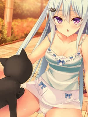 [milimili：AMUSE CRAFT EROTICA] ちんかもツインズ_EV018C