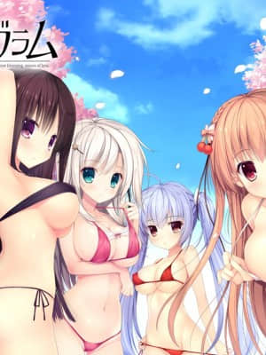 [NanaWind] 白恋サクラ＊グラム__title_bg