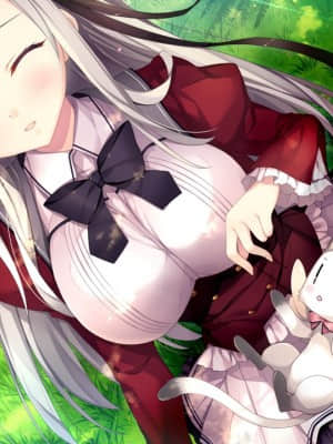 [NanaWind] 白恋サクラ＊グラム_evERI01ac